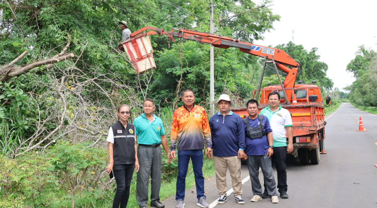 ตัดเเต่งกิ่งไม้เพื่อปรับปรุงภูมิทัศน์บริเวณถนนทางเข้าบ้านจระเข้หิน