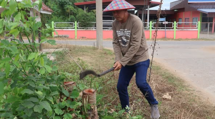 ลงพื้นที่ปรับภูมิทัศน์หมู่ที่ 8 