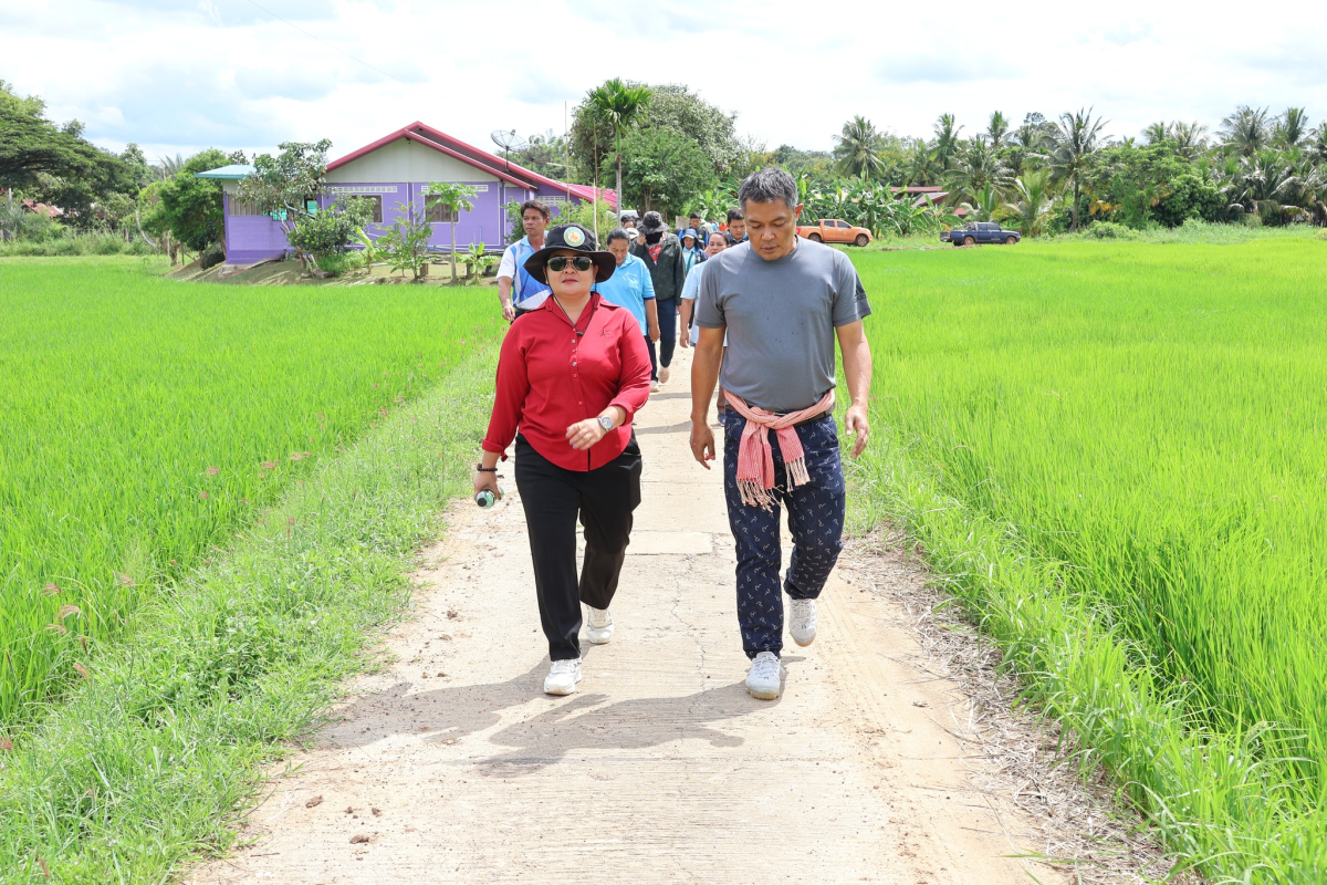 ประชุมปรึกษาหารือและสำรวจพื้นที่ในการพัฒนาแก้ไขด้านการบริหารจัดการน้ำในพื้นที่ร่วมกับโครงการส่งการส่งน้ำและบำรุงรักษาลำแชะ ณ เขตเทศบาลตำบลจระเข้หิน