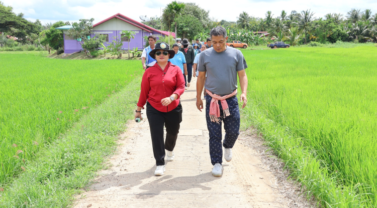 ประชุมปรึกษาหารือและสำรวจพื้นที่ในการพัฒนาแก้ไขด้านการบริหารจัดการน้ำในพื้นที่ร่วมกับโครงการส่งการส่งน้ำและบำรุงรักษาลำแชะ ณ เขตเทศบาลตำบลจระเข้หิน