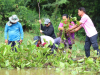 ลงพื้นที่กำจัดวัชพืชในคลองเทศบาลตำบลจระเข้หิน ตามโครงการกำจัดวัชพืชในคลองเทศบาลตำบลจระเข้หิน ประจำปีงบประมาณ 2568