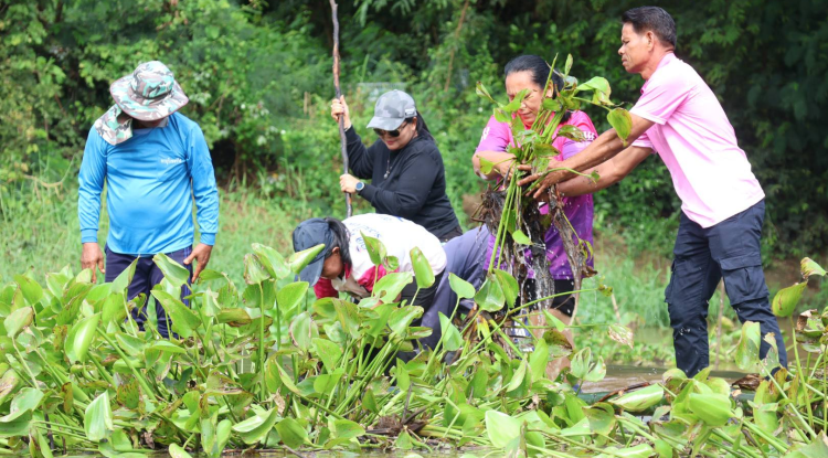 ลงพื้นที่กำจัดวัชพืชในคลองเทศบาลตำบลจระเข้หิน ตามโครงการกำจัดวัชพืชในคลองเทศบาลตำบลจระเข้หิน ประจำปีงบประมาณ 2568
