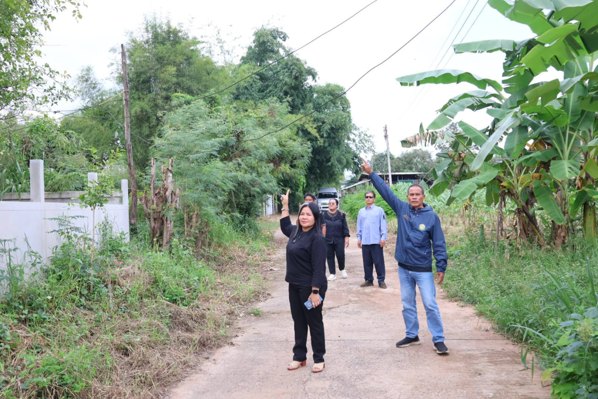 สำรวจพื้นที่เพื่อที่จะทำการปรับภูมิทัศน์บริเวณริมฝั่งถนนและสำรวจไฟส่องสว่างเพื่อที่จะติดตั้งโครมไฟ 